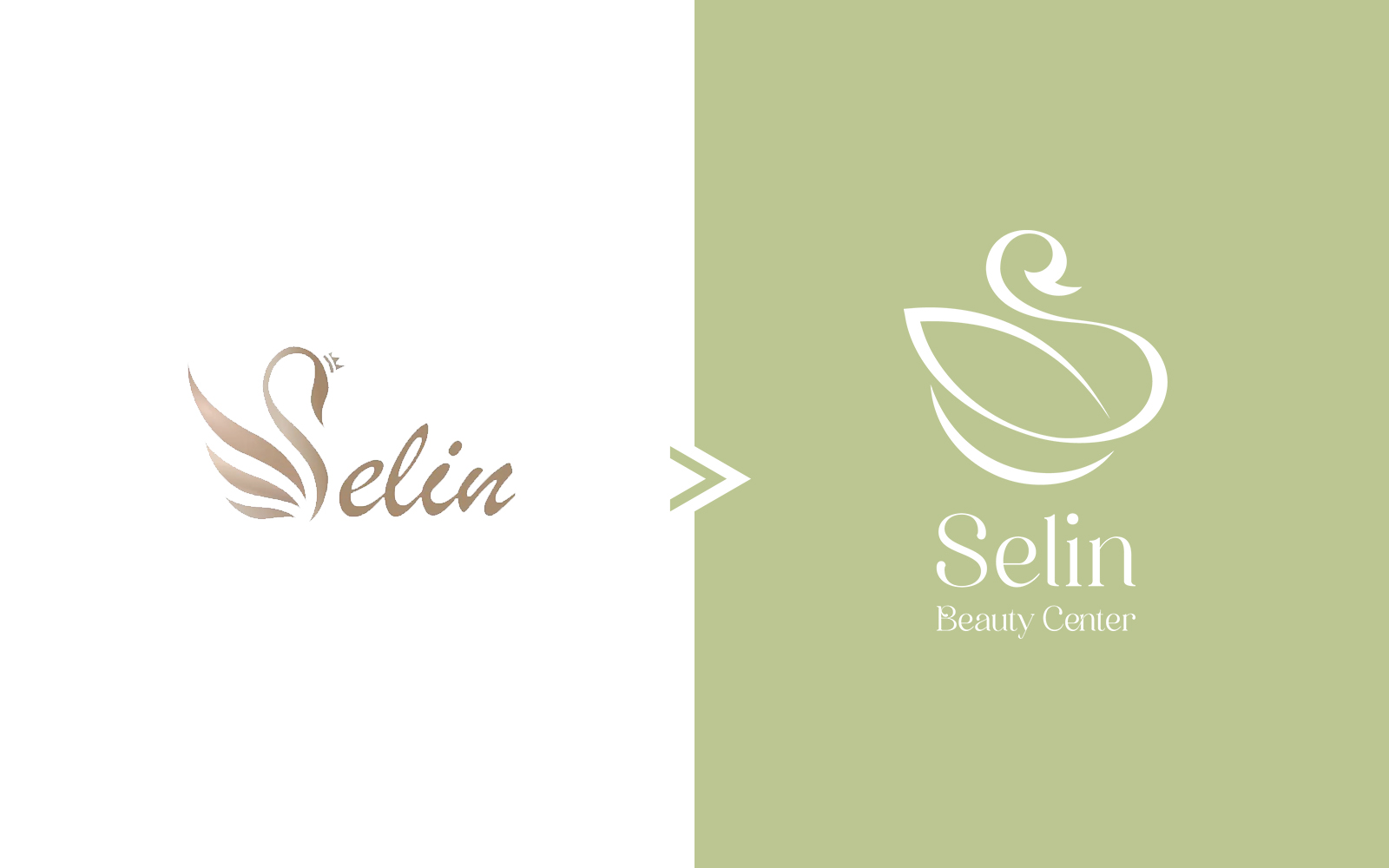 Comparison of the previous and redesigned Selin visual identities