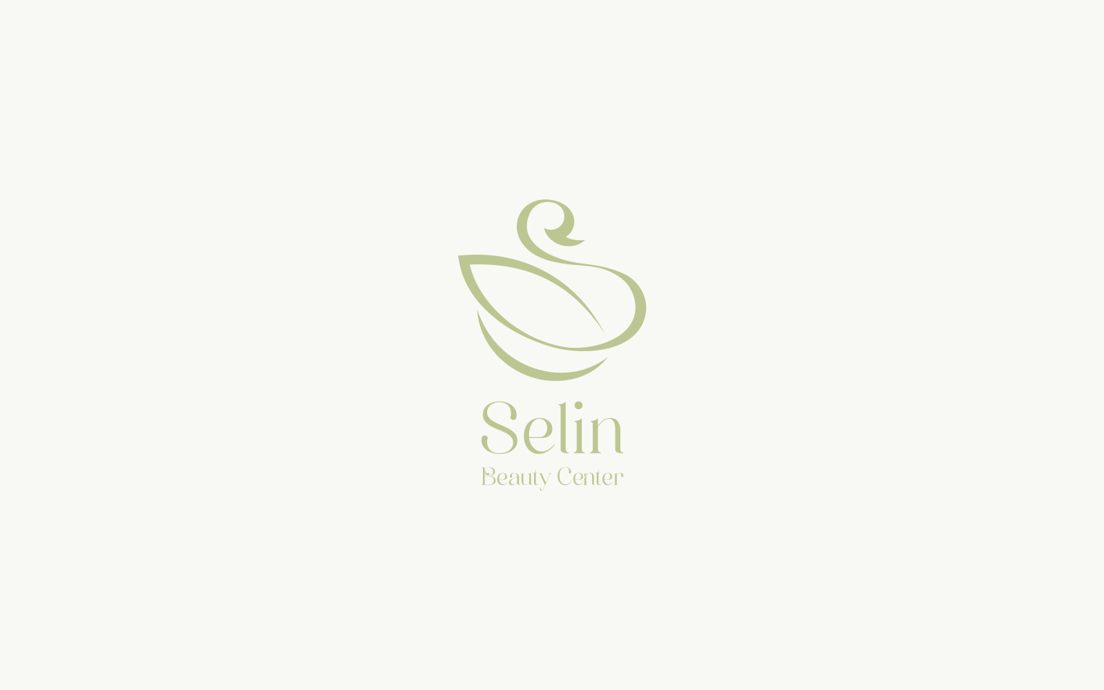 Final Selin logo and visual identity